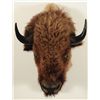 Image 2 : Buffalo Mount