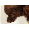 Image 3 : Buffalo Mount