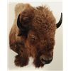 Image 4 : Buffalo Mount
