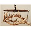 Image 1 : Elk Antler Chandelier