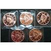 Image 1 : Copper Round; .999 Fine Copper 1 Oz.; Lot of 5