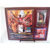 Image 1 : 2008-09 NBA LeBaron James Most Valuable Player Plaque