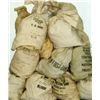 Image 1 : Bank Bag Full of 200 Unsearched Morgans