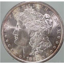 1880 S BU Morgan PL Surfaces