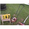 Image 1 : lawn trimmer
