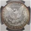 Image 3 : 1886   Morgan $  NGC65