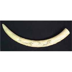Ivory tusk carved with dragon and clouds. Note age cracks. 46" $1200-1600