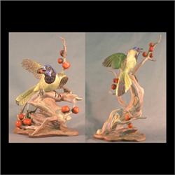 Boehm bird figures. Pair of greenjays with black persimmons. #486,  signed. 18 3/4" h, 14"h $2400-28