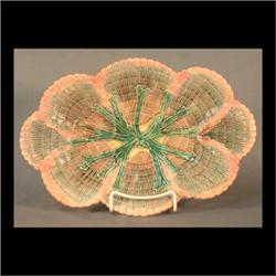 Majolica Etruscan platter with scalloped oval shell design. Note  some minor chips on back edge of r