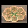 Image 1 : Majolica Etruscan platter with scalloped oval shell design. Note  some minor chips on back edge of r
