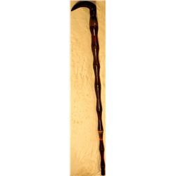 Buffalo Horn Cane