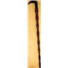 Image 1 : Buffalo Horn Cane