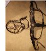 Image 1 : Keyston Bro's Silver Bridle and Breastcollar