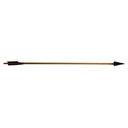 Immortals Screen Used Arrow