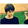 Image 2 : Harry Potter Golden Snitch