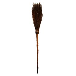 Harry Potter Daniel Radcliffe Training Broom