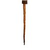 Image 2 : Harry Potter Daniel Radcliffe Training Broom