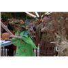 Image 2 : One True Thing (1998) Mother Nature Costume