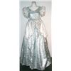 Image 1 : Cinderella Costume