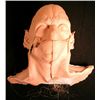 Image 1 : Underworld: Evolution Face Prosthetic (Full)