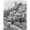 Image 1 : Walter Witter 19.34in. x 15.34in. (50 x 40cm)