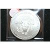 Image 2 : 2012 Silver Eagle $1