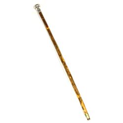 Civil War Era Silver Top Walking Stick CT - Shelton,Fairfield County -  - 2012aug - General American