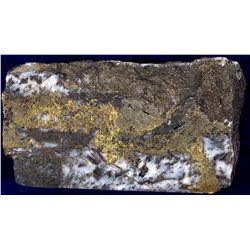 Calaveras Gold & Pyrite Slab CA - Hodson,Calaveras County - 1915-1940 - 2012aug - Mineral Specimens