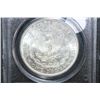 Image 2 : 1882-S Silver Morgan $1; MCPCG Graded MS64