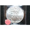 Image 1 : 2012 Silver Eagle $1