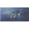 Image 1 : P-38 Lightning Fellows Pacific Theatre