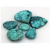 Image 1 : Turquoise 209.00ctw MixShape&Sizes LooseGemstone