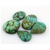 Image 1 : Turquoise 122.00ctw MixShape&Sizes LooseGemstone
