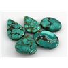 Image 1 : Turquoise 135.00ctw MixShape&Sizes LooseGemstone