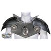 Image 1 : Matthew Lillard "Duke Fallow" shoulder armor from In the Name of the King