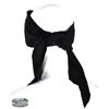 Image 2 : Sir Anthony Hopkins "Zorro" mask from The Mask of Zorro