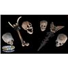 Image 1 : Collection of native weapons & skulls from Pirates of the Caribbean: Dead Man's Chest