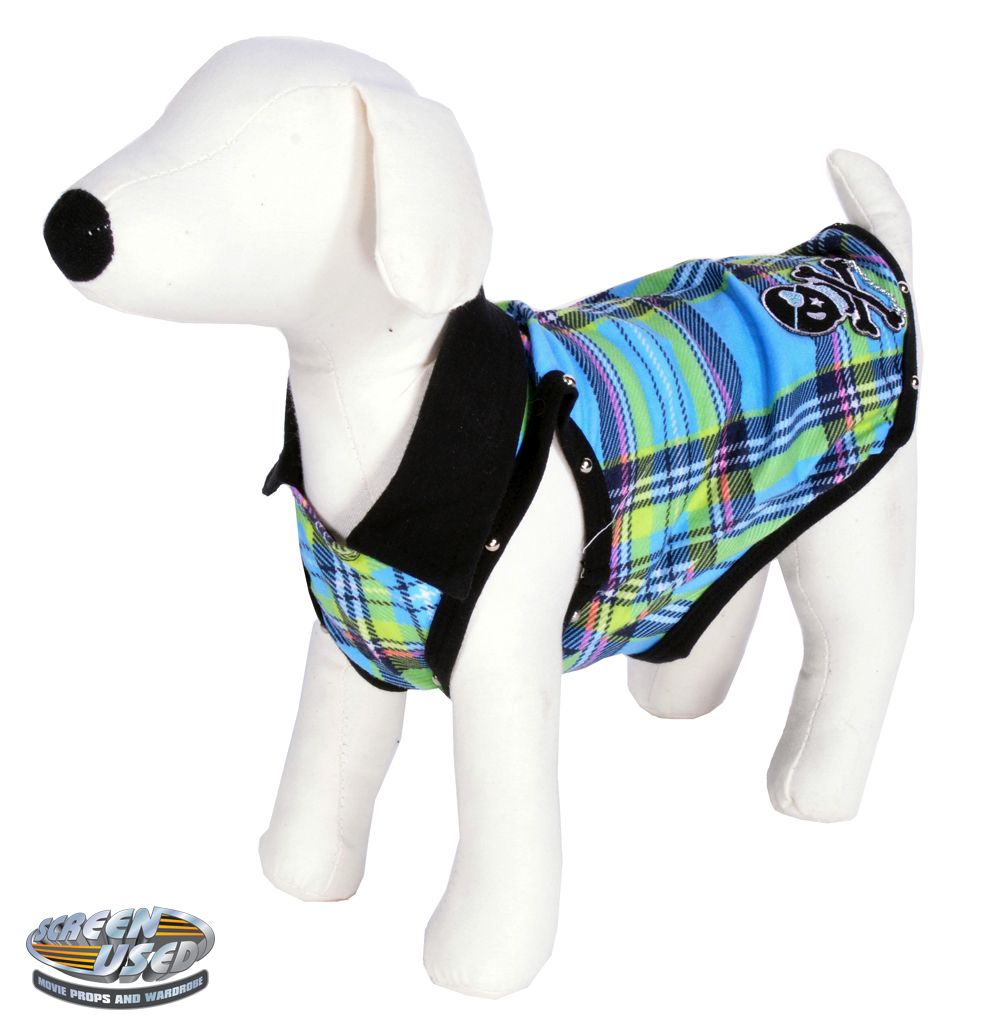 Martini the dog costume from Quarantine