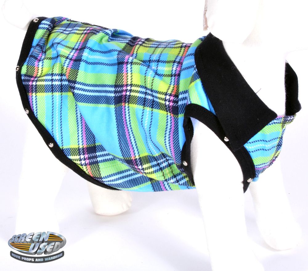 Martini the dog costume from Quarantine