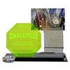 Image 1 : Section of the Fortress of Solitude from Smallville