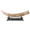 Image 1 : 40' Hand Carved Tusk On Stand