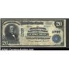 Image 1 : Chicago, IL - $20 1902 Plain Back Fr. 659...