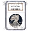 Image 1 : Certified Proof Silver Eagle PF69 1993