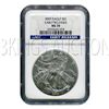 Image 1 : Certified Uncirculated Silver Eagle 2009 MS70 NGC Early