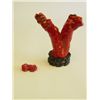 Image 1 : 2 pieces of coral