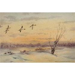 Cecil Thomas Hodgkinson (1895-1979), Sheld...