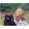 Image 1 : Jane Goodall
