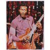Image 1 : Chuck Berry
