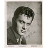 Image 1 : Tony Curtis