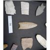 Image 6 : Frame of Paleo and archaic flint including perfect Clovis point